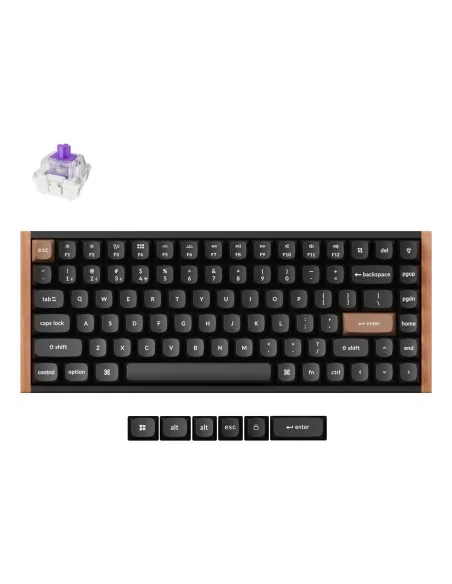 Keychron K2 HE keyboard Gaming USB + RF Wireless + Bluetooth QWERTY UK English Black