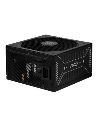 MSI MAG A1000GLS PCIE5 power supply unit 1000 W 24-pin ATX ATX Black