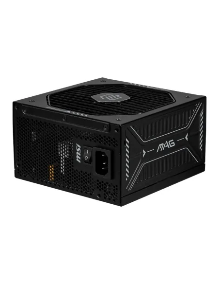 MSI MAG A1000GLS PCIE5 power supply unit 1000 W 24-pin ATX ATX Black