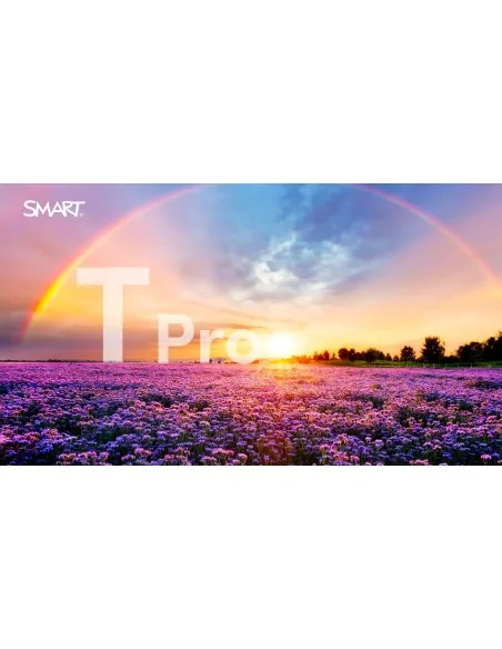 SMART Board T Pro Series