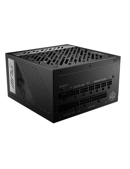 A1000G PCIE5