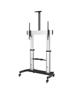 StarTech.com TV Mounts & Stand STNDMTV100 | Creative Systems