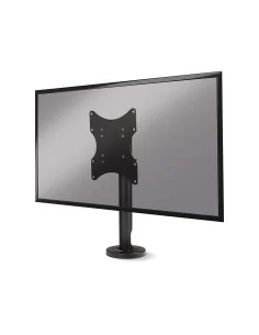 Lindy Monitor Mounts & Stand 40971 | Creative Systems
