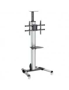 StarTech.com TV Cart - Height Adjustable - Lockable Wheels