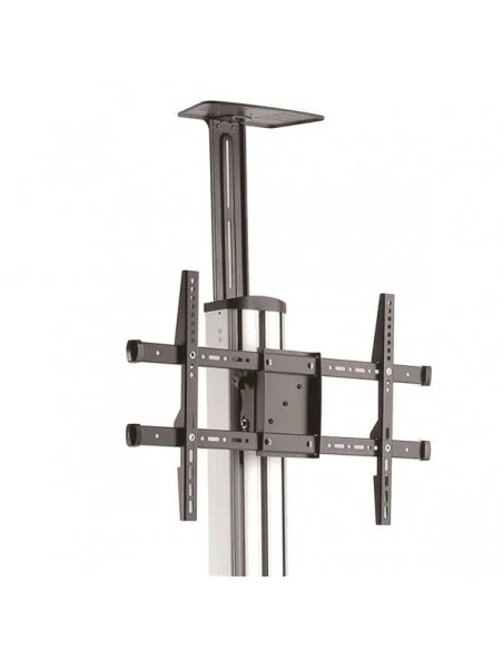 StarTech.com TV Cart - Height Adjustable - Lockable Wheels