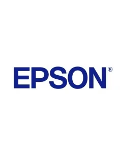 Epson Projector Accessory - ELPKM01 - Wireless karaoke microphone pair