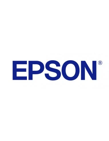 Epson Projector Accessory - ELPKM01 - Wireless karaoke microphone pair