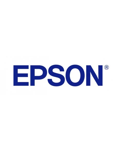 Epson Projector Accessory - ELPKM01 - Wireless karaoke microphone pair