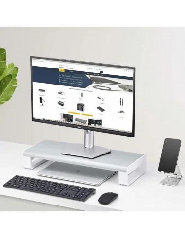 StarTech.com Ergonomic Monitor Riser Stand, Up to 33lb/15kg, Fixed