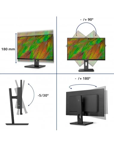 Philips 3000 series 32B1U3900/00 computer monitor 80 cm (31.5") 3840 x