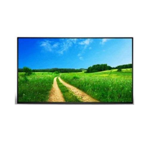 Allsee Professional Monitors