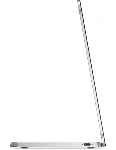 DELL Pro Plus P1425 computer monitor 35.6 cm (14") 1920 x 1200 pixels