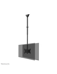 Neomounts CL35-340BL22 Dual monitor/TV mount ceiling 23-43" - h 106-156 cm