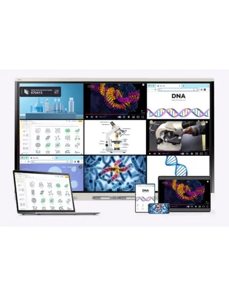 SMART Board MX Interactive Display for Schools Ireland