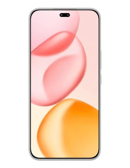 Honor 400 Pro 17 cm (6.7") MagicOS 9.0 5G 12 GB 512 GB 5300 mAh Grey