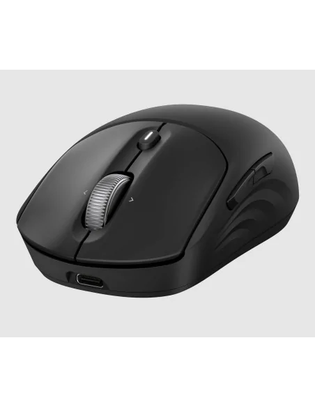 HP 705 Rechargeable Wireless EMEA mouse