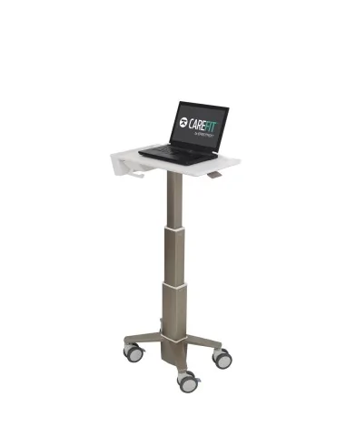 Ergotron C50-1100-0 laptop stand Grey 39.6 cm (15.6")