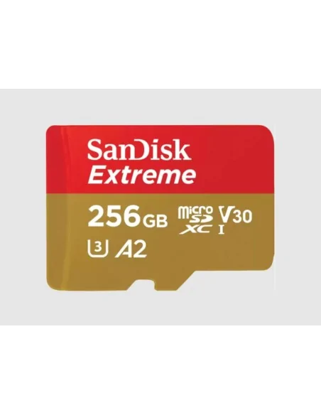 SanDisk Extreme 256 GB MicroSDXC UHS-I Class 3