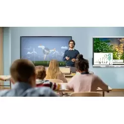 Smart Board NX 2