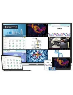 SMART BOARD GX PLUS 2