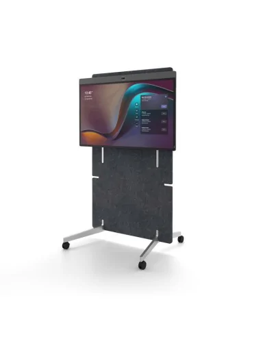 Board 50 with Adaptive Stand
