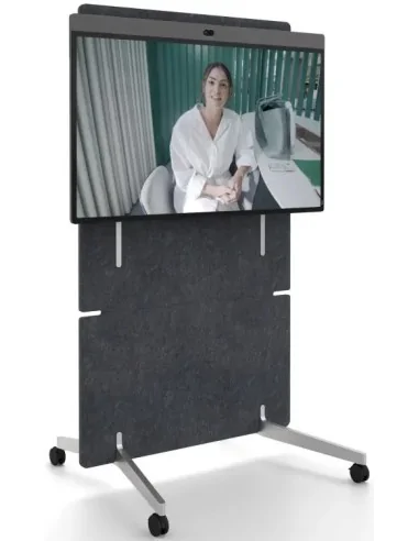 Board 50 with Adaptive Stand